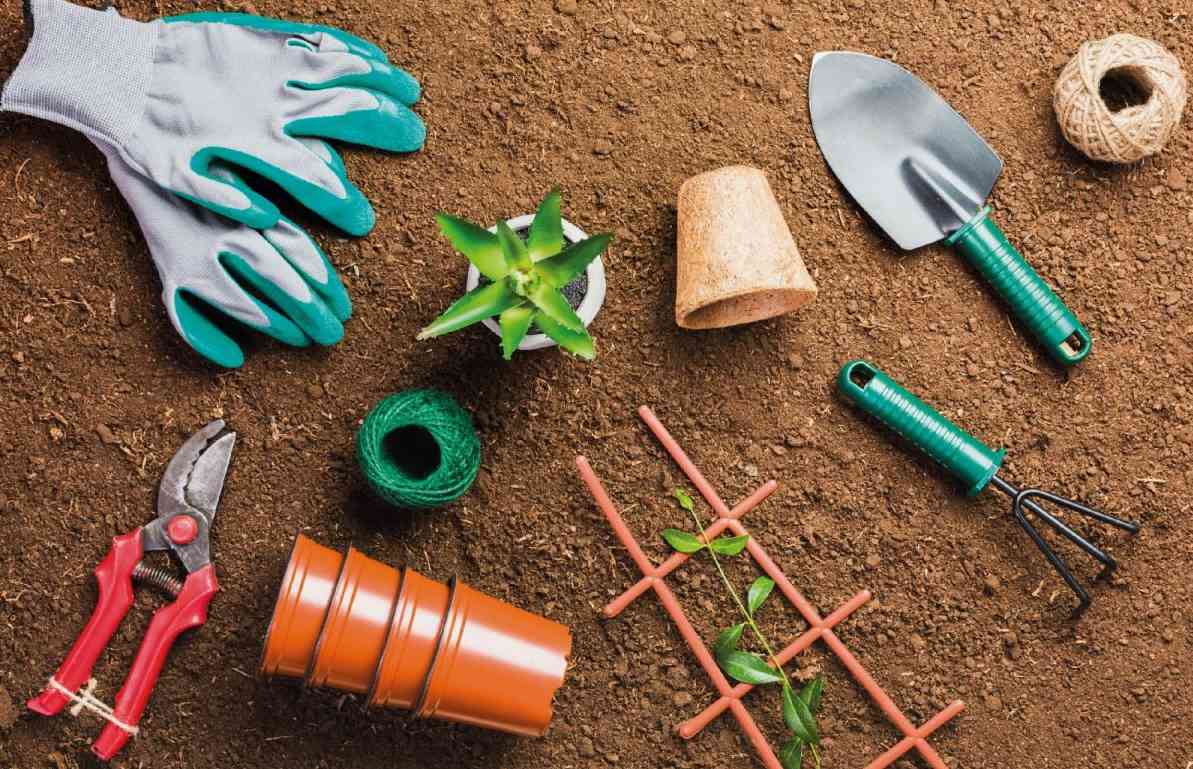 Guess What? You Can Get Your Hands Dirty with a Beginner’s Toolkit for Your Gardening Adventure!