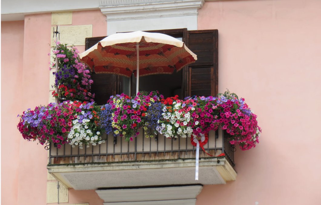 Ready to Start Balcony Gardening? Here Are 5 Things You Should Know!